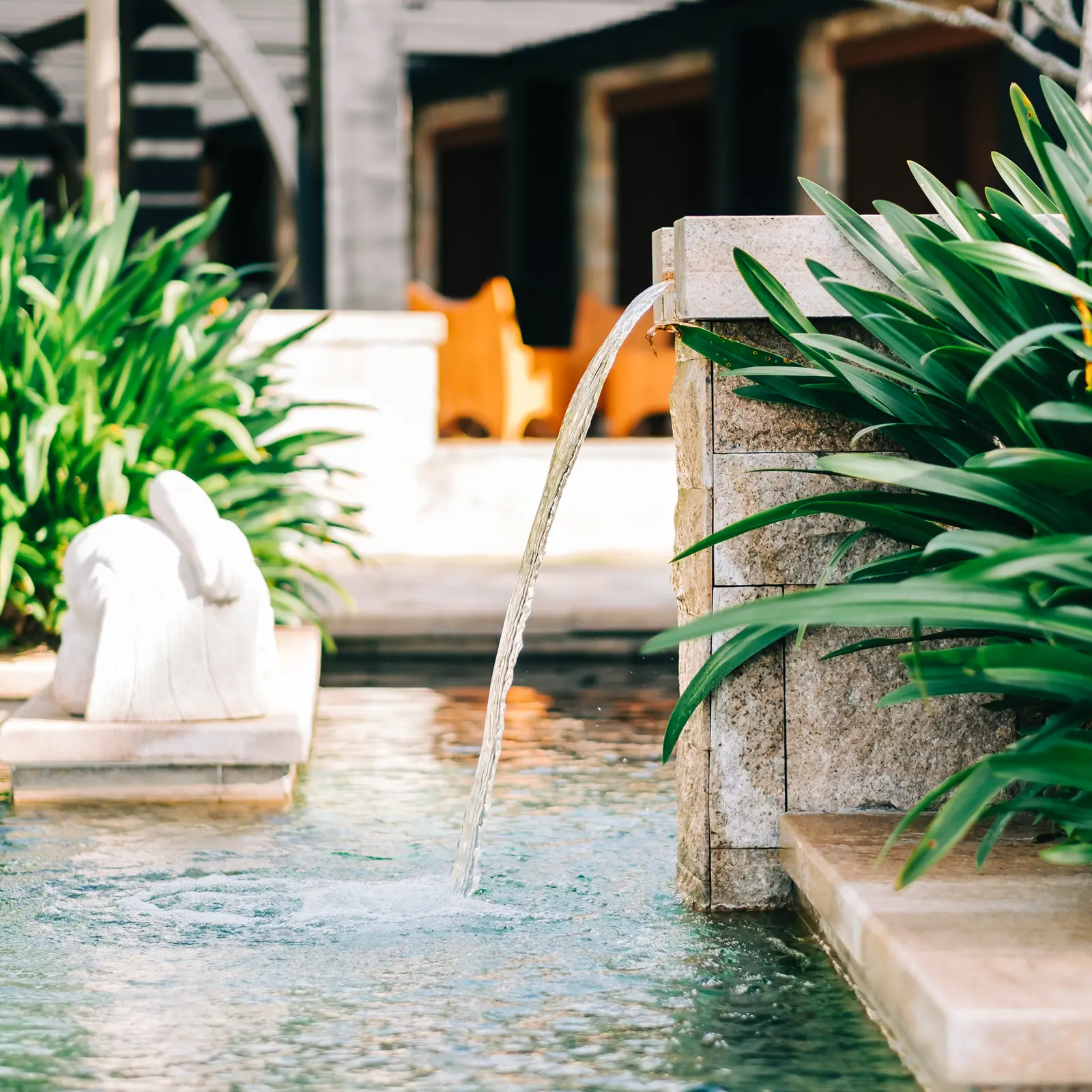 Water Features