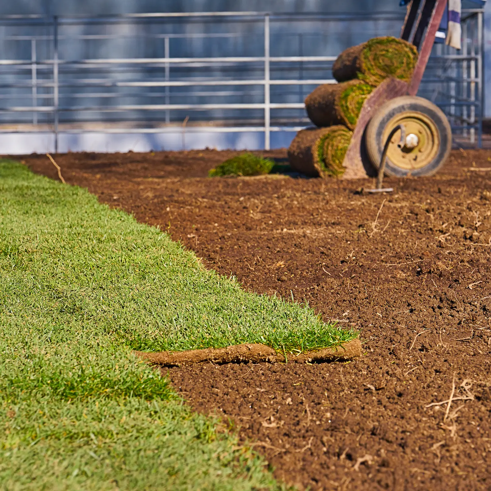 Sod Installation