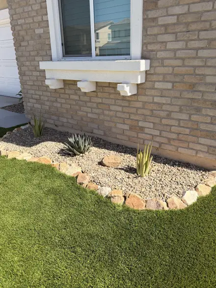 image 6 (1)